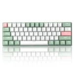 MK-STAR61 Pink Lotus A, Ginger Cat Switch