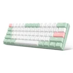 MK-STAR61 Pink Lotus A, Ginger Cat Switch