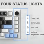 MK-Star75 White black+blue, black switch