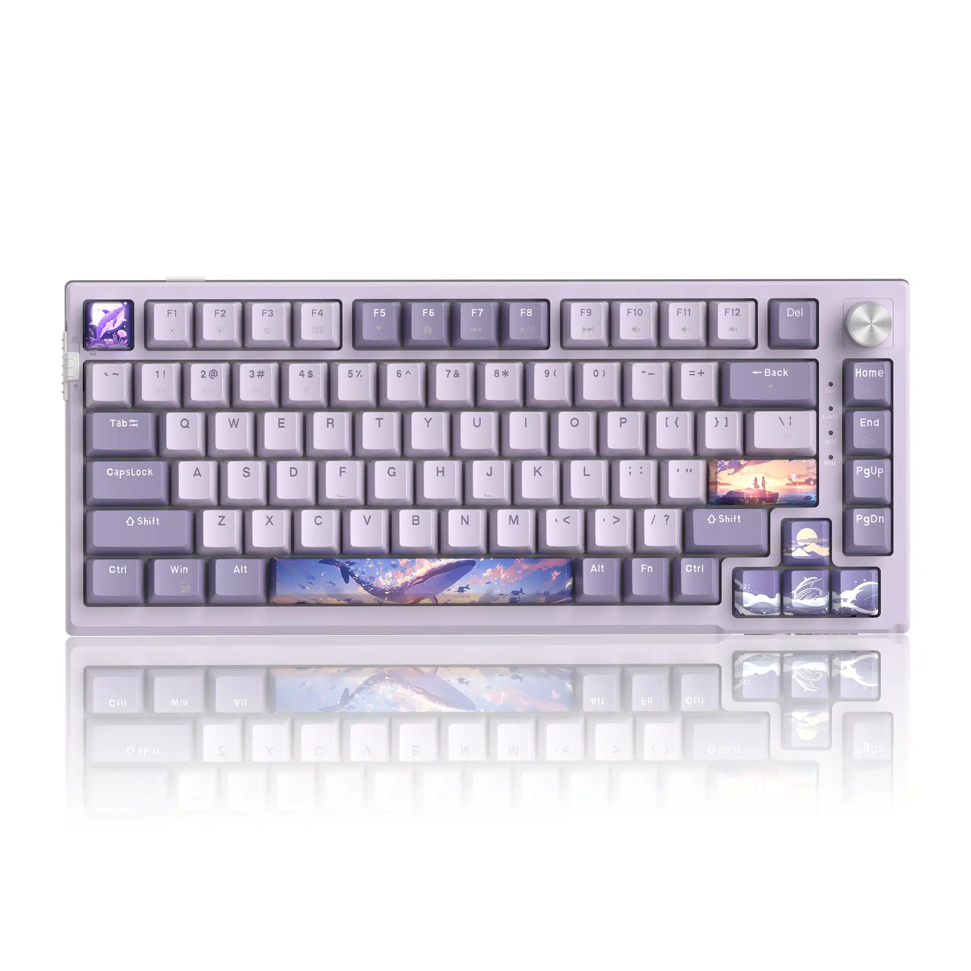 MageGee Sky81 Tri Mode 75% Wireless Gasket Mechanical Gaming Keyboard MageGee Sky81 Tri Mode 75% Wireless Gasket Mechanical Gaming Keyboard